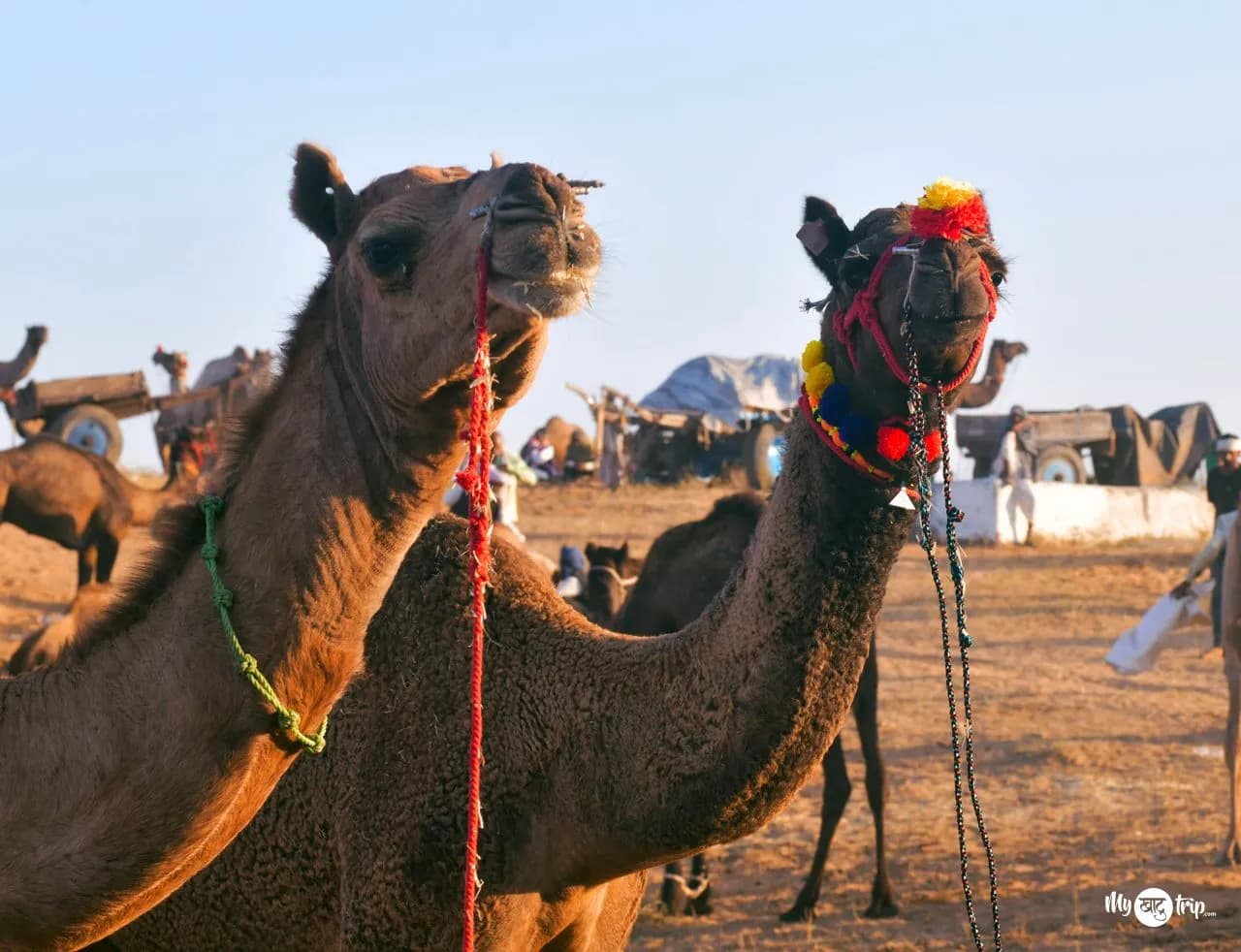 Khatu Shyam ji to Pushkar Taxi Book — photo 3